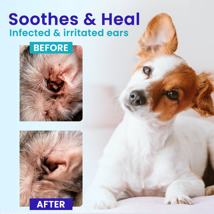 RZXEA™ Pet EarPro Drops FM+👂 Vet-Strength Relief That Reaches Deep Where Infections Hide