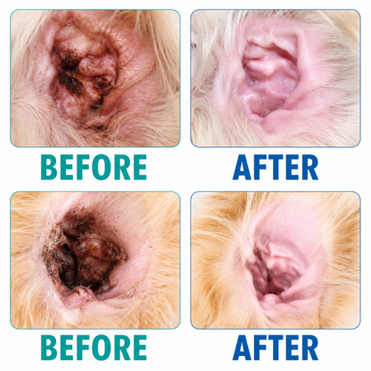 RZXEA™ VetRelief Ear Drops FM+🛡️Stop the Scratch, Heal the Root – Your Pet’s Last Ear Infection Treatment. 🛡️