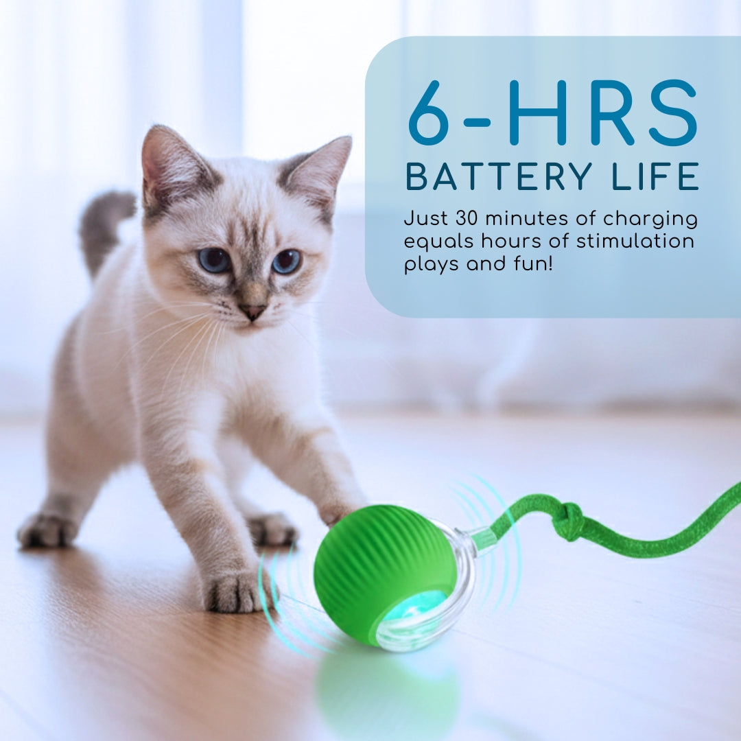 AEXZR® Smart Bionic Prey Ball👇 No More Guilt – Your Cat Stays Happy & Hunt-Driven All Day