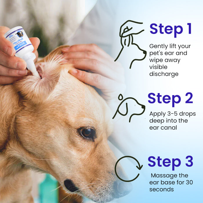 RZXEA™ Pet EarPro Drops FM+👂 Vet-Strength Relief That Reaches Deep Where Infections Hide